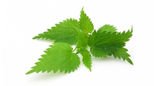 Stinging nettle will remove acne and increase skin elasticity